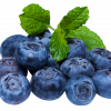 BLUEBERRY