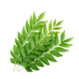 CURRY LEAVES