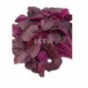 Red Keerai Bunch