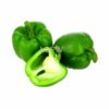 Capsicum