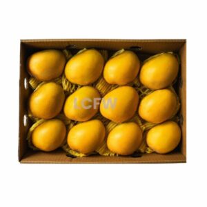ALPHONSO Mango 12 Pcs Box