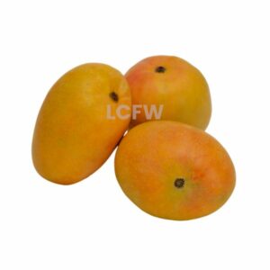 MANGO India 1P