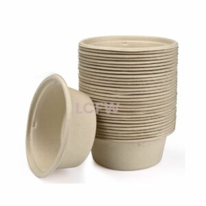 BIODEGRADABLE Bagasse Bowles 12pk